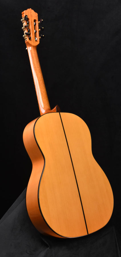 Cordoba F10 Flamenco Guitar with Rigid Polyfoam Case