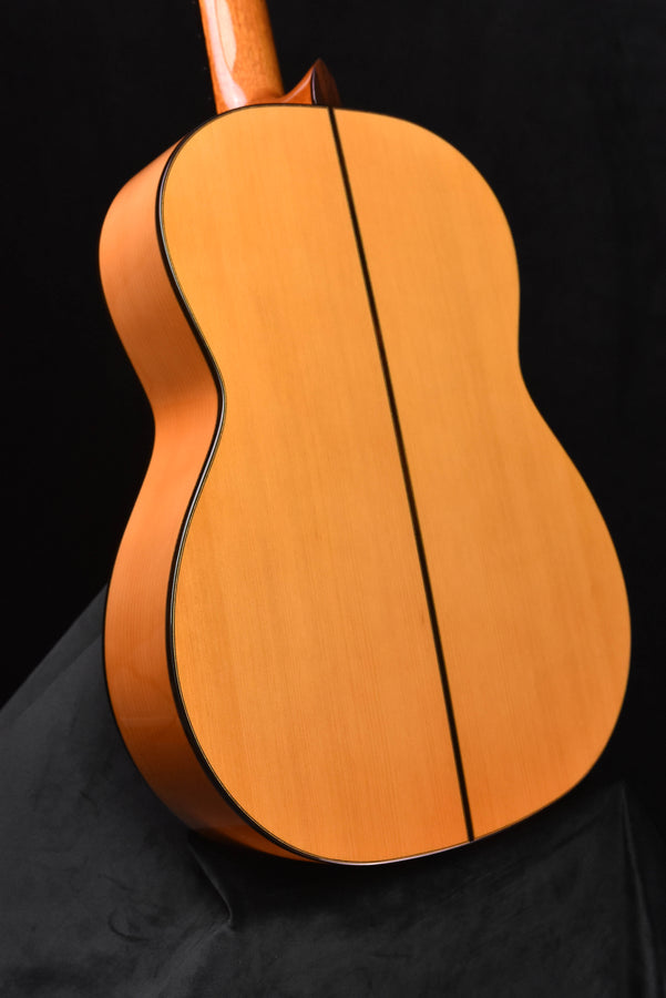 Cordoba F10 Flamenco Guitar with Rigid Polyfoam Case