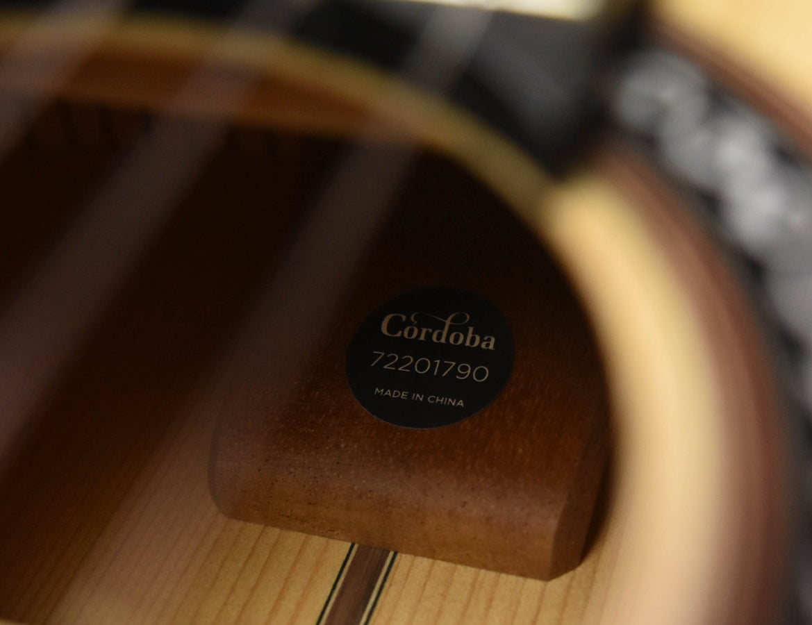 Cordoba F10 Flamenco Guitar with Rigid Polyfoam Case