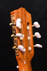 Cordoba C5 Cedar top Classical Guitar