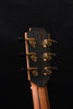 Lowden F-50C Sinker Redwood and Cocobolo Cutaway Acoustic Guitar