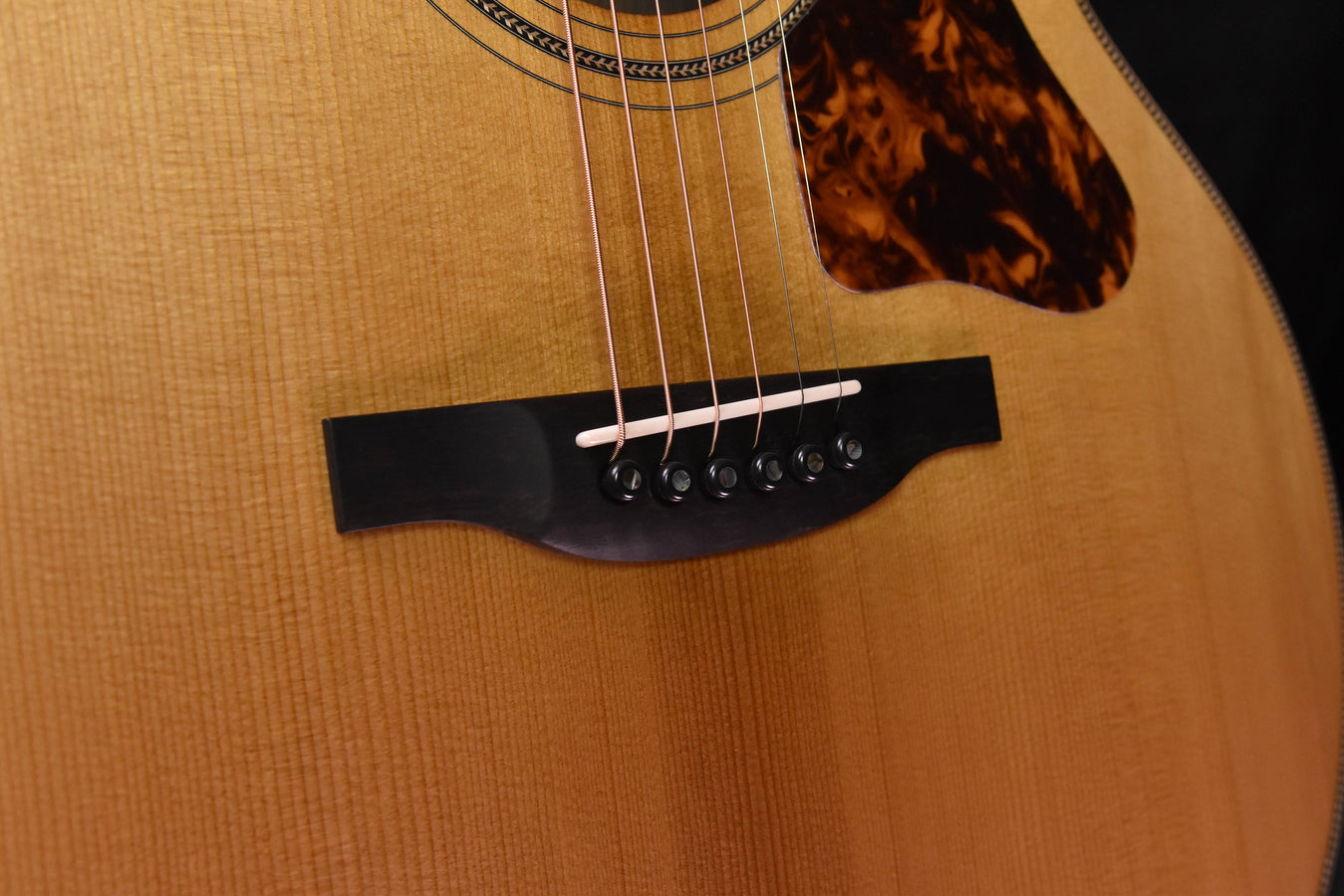 Boucher Studio Goose Jumbo Acoustic Guitar SG-53-G with Gold Pack