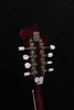 Epiphone F Studio Mandolin Wine Red Satin Finish