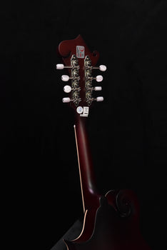 epiphone f studio mandolin wine red satin finish