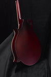 Epiphone F Studio Mandolin Wine Red Satin Finish