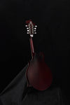 Epiphone F Studio Mandolin Wine Red Satin Finish