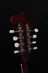 Epiphone F Studio Mandolin Wine Red Satin Finish