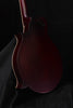 Epiphone F Studio Mandolin Wine Red Satin Finish