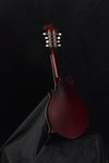 Epiphone F Studio Mandolin Wine Red Satin Finish