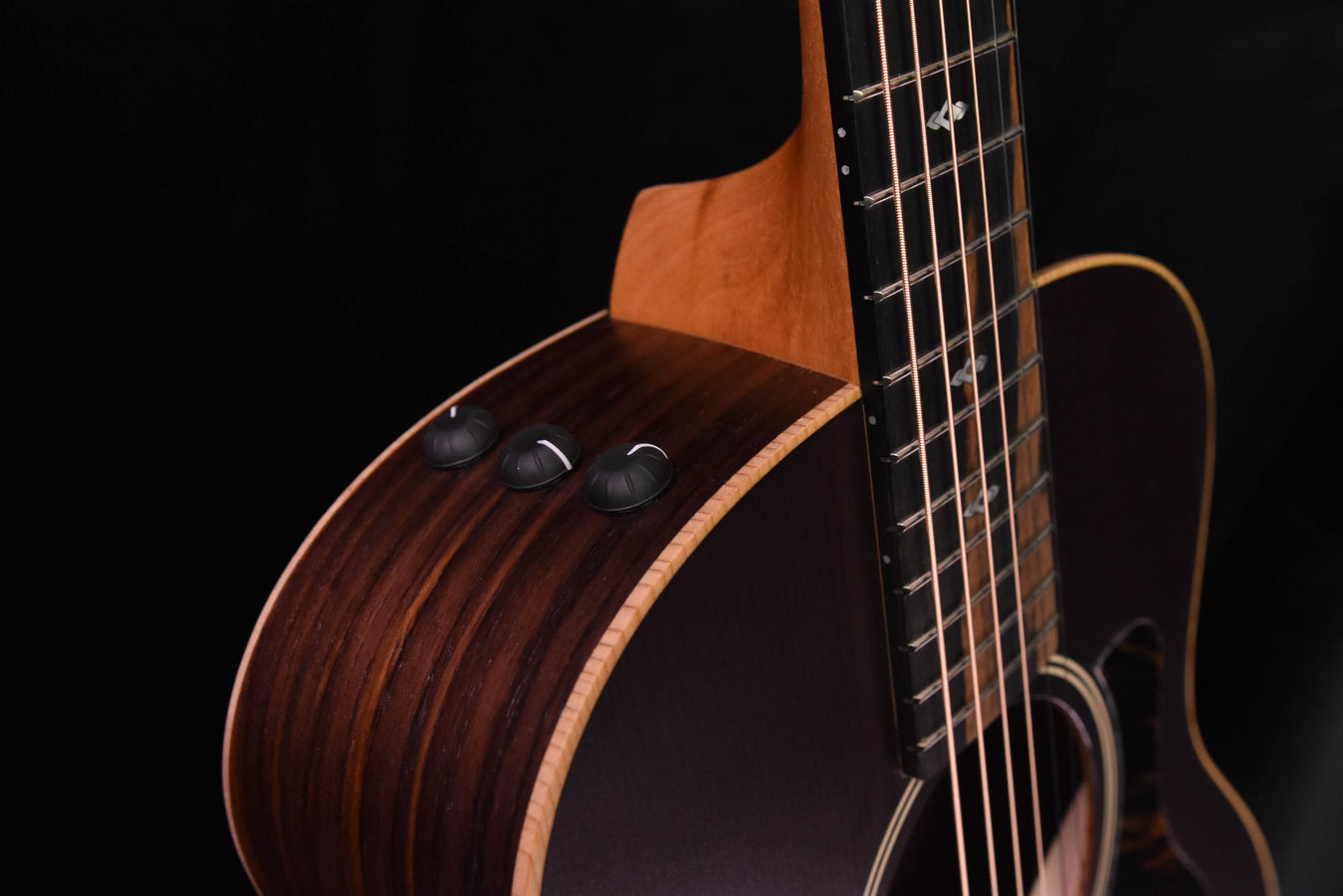 Taylor GS Mini-E Rosewood SB LTD 50th Anniversary model