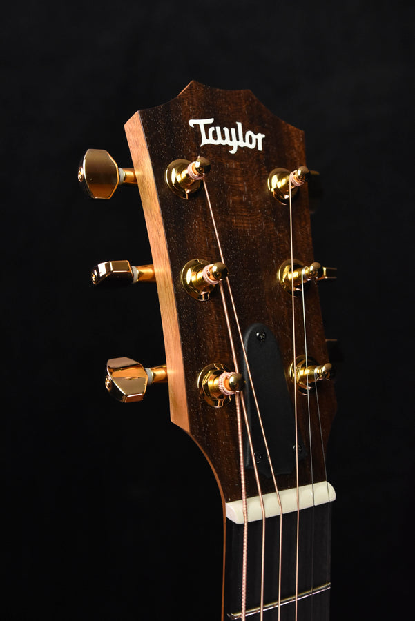 Taylor GS Mini-E Rosewood SB LTD 50th Anniversary model