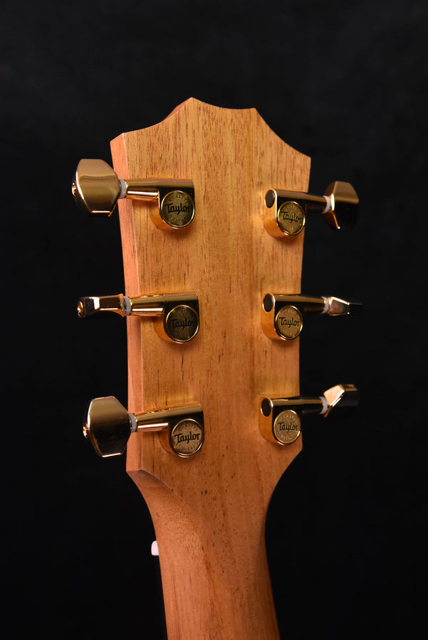 Taylor GS Mini-E Rosewood SB LTD 50th Anniversary model