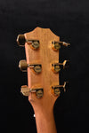 DEMO MODEL-Taylor 224CE-K DLX Cutaway Acoustic Guitar