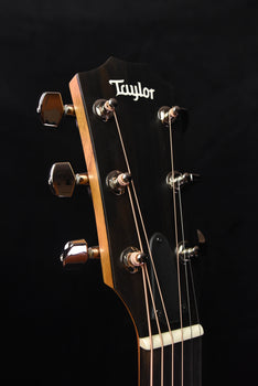 demo model-taylor 210ce plus dreadnought cutaway guitar