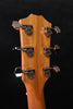 DEMO MODEL-Taylor 210CE Plus Dreadnought Cutaway Guitar