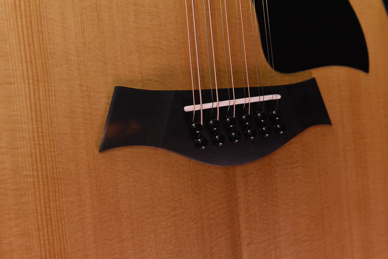 Taylor 150CE 12 String Acoustic Guitar