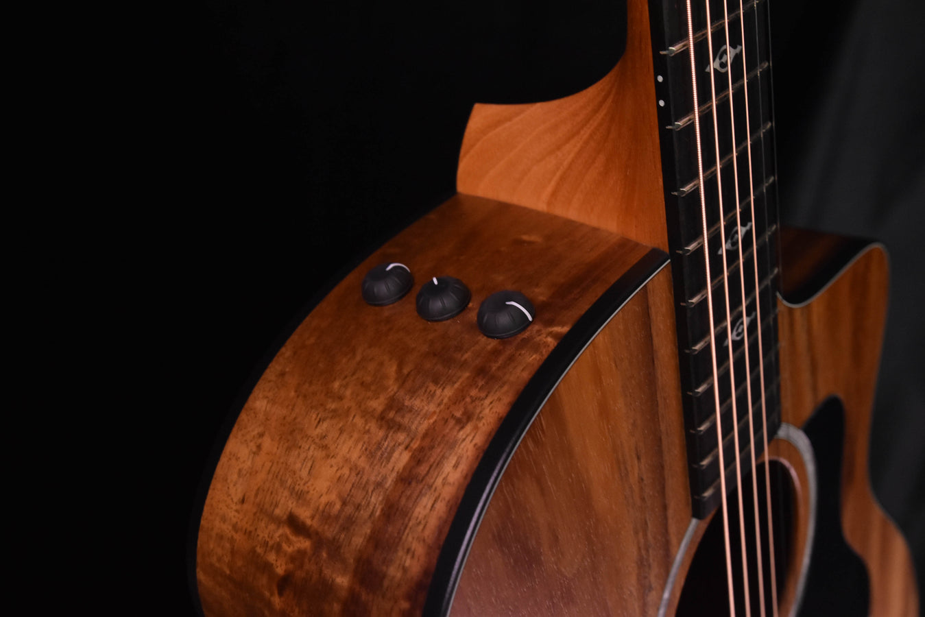 Taylor Limited Edition 224CE-K Dlx all Koa Acoustic Guitar