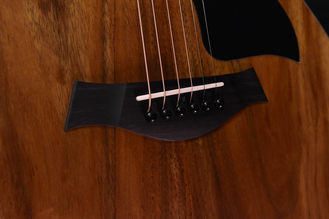 Taylor Limited Edition 224CE-K Dlx all Koa Acoustic Guitar