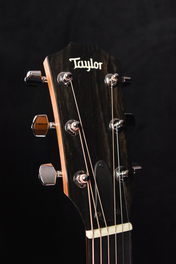 Taylor Limited Edition 224CE-K Dlx all Koa Acoustic Guitar
