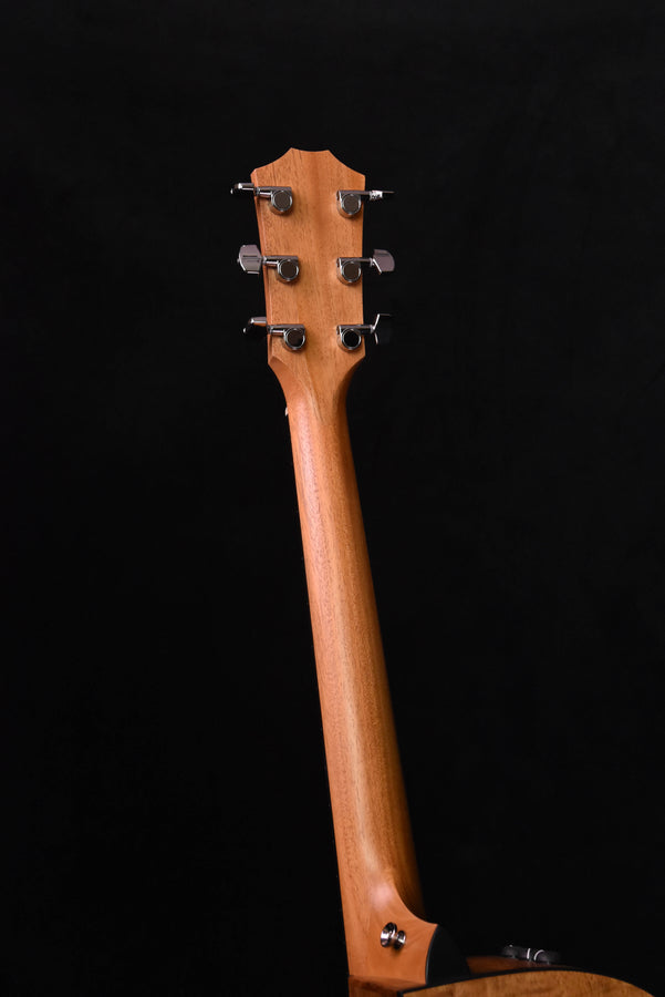 Taylor Limited Edition 224CE-K Dlx all Koa Acoustic Guitar
