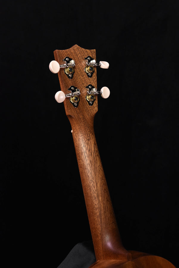 All-Koa concert ukulele headstock, four tuners and light-colored tuning buttons