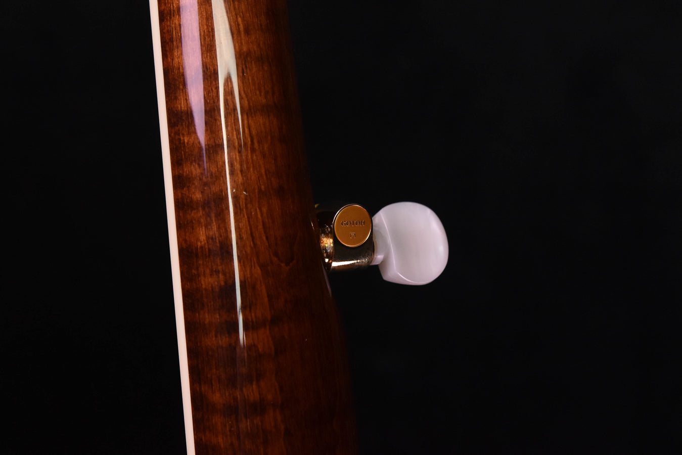 Gold Tone OB "Grandee" Mastertone Five String Banjo