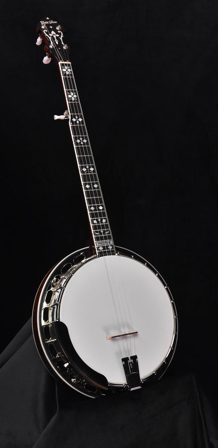 Banjo prototype, five-string, white head with chrome rim and dark neck