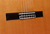 Cordoba C10 Cedar Top Classical Guitar with Case