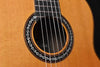 Cordoba C10 Cedar Top Classical Guitar with Case