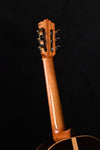 Cordoba C12 Cedar top Classical guitar with case