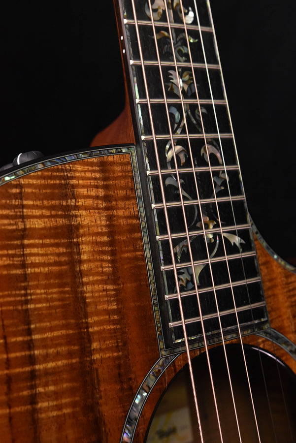 Taylor PS24CE-K LTD Edition 50th Anniversary Acoustic Guitar and Custom Matching Koa Circa 74 AMP