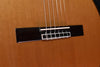 Cordoba C9 Classical Guitar Cedar Top with Polyfoam Case