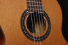 Cordoba C9 Classical Guitar Cedar Top with Polyfoam Case