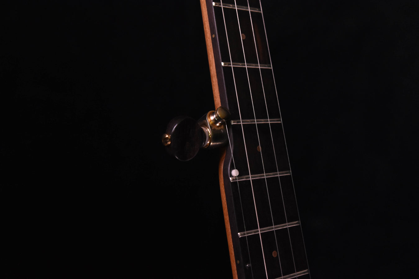 Ome Tupelo Open Back banjo and Case