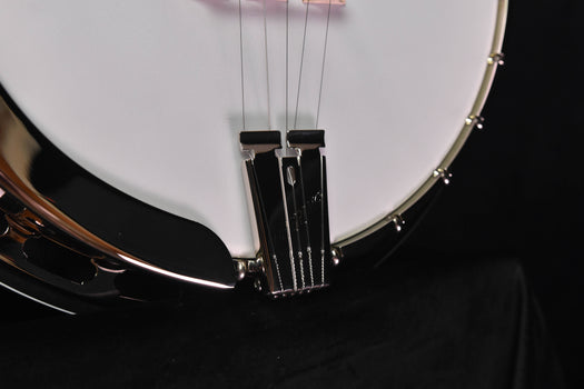 deering rustic wreath 5 string banjo