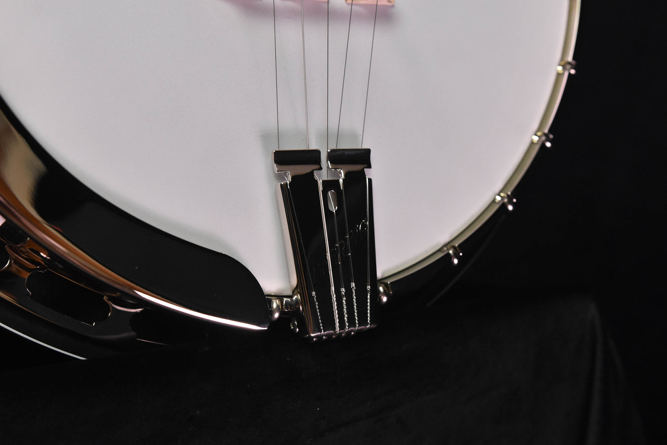 Deering Rustic Wreath 5 String Banjo
