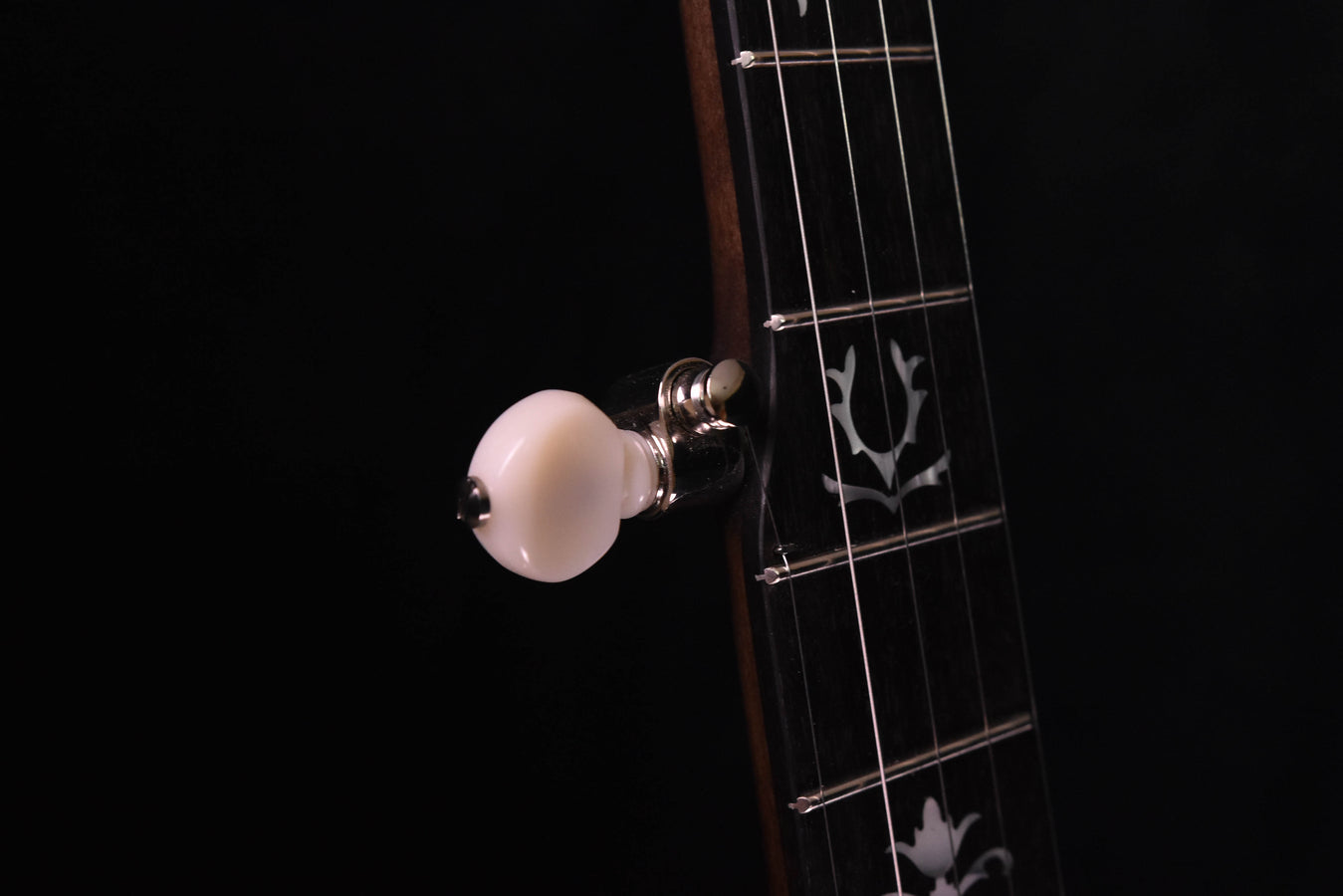 Deering Rustic Wreath 5 String Banjo