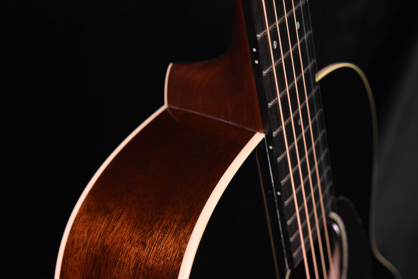 Acoustic guitar neck and upper body, dark wood grain with cream binding