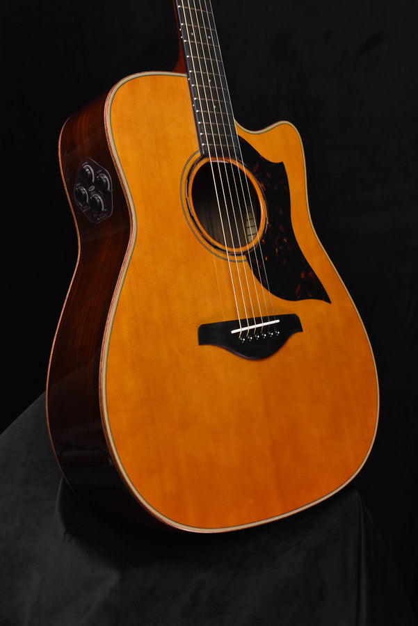 Acoustic-electric guitar front, tortoiseshell pickguard, oval soundhole
