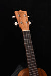 Martin C1K Concert Ukulele- All Koa