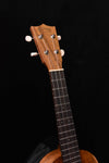 Martin C1K Concert Ukulele- All Koa