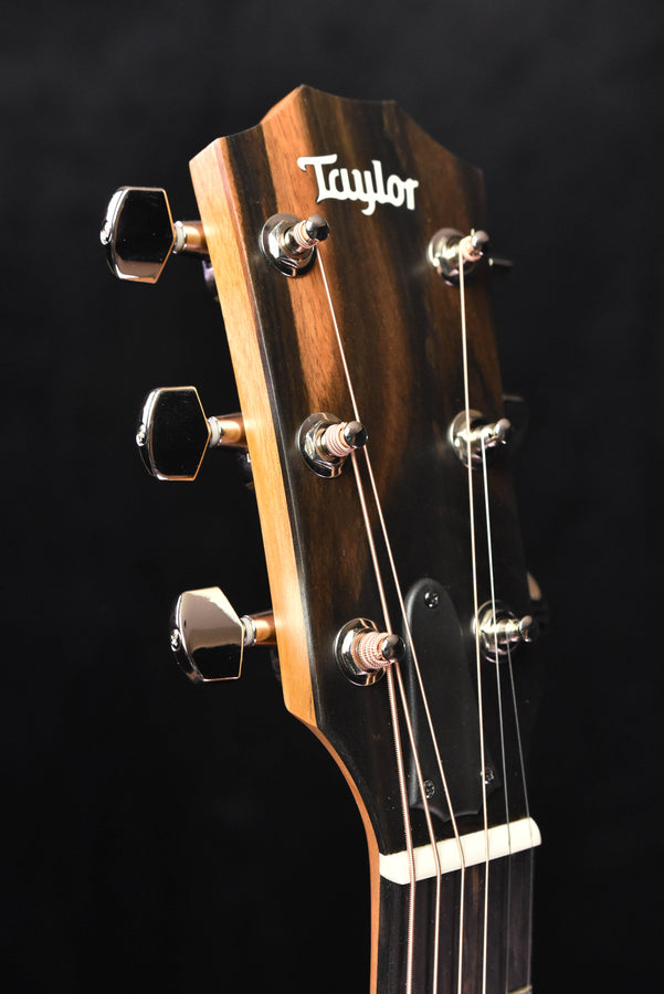 Taylor 210CE Plus Dreadnought Cutaway Guitar