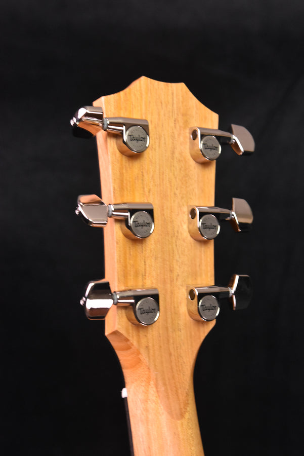 Taylor 210CE Plus Dreadnought Cutaway Guitar