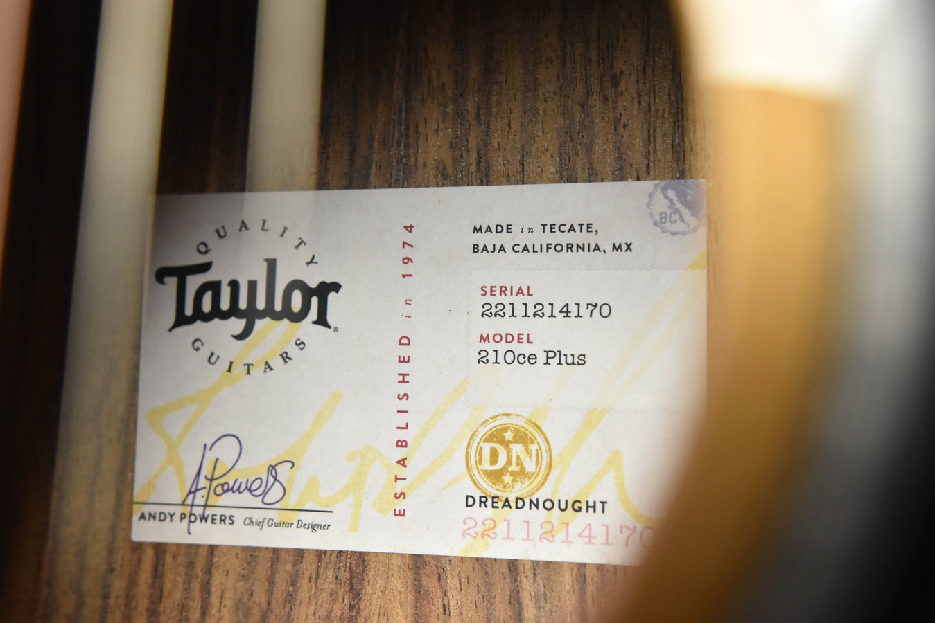 Taylor 210CE Plus Dreadnought Cutaway Guitar