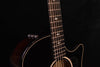 Taylor Builder's Edition 524CE Acoustic Guitar