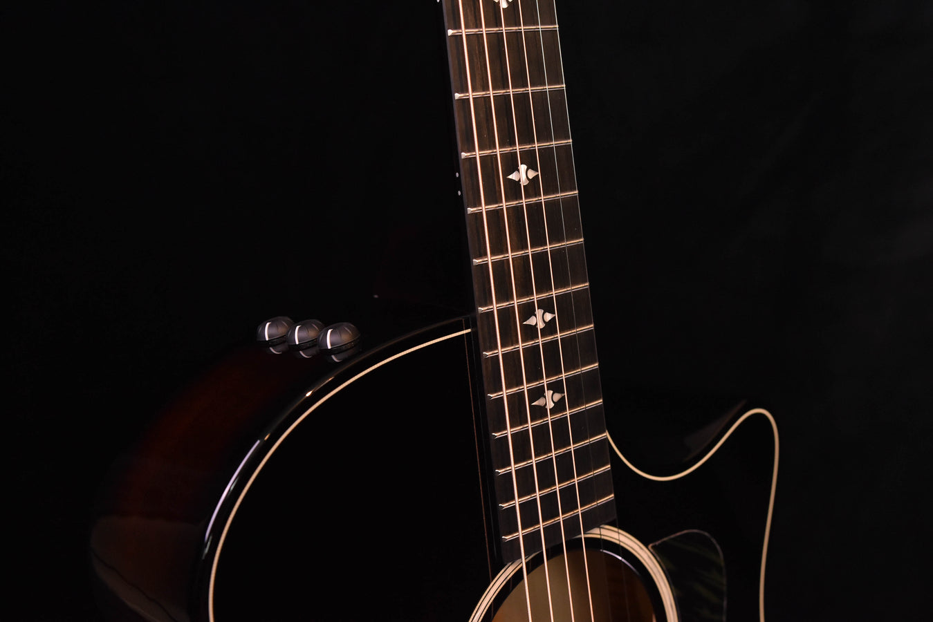 Taylor Builder's Edition 524CE Acoustic Guitar