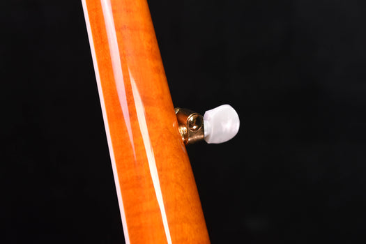 epiphone earl scruggs golden deluxe five string bluegrass  banjo