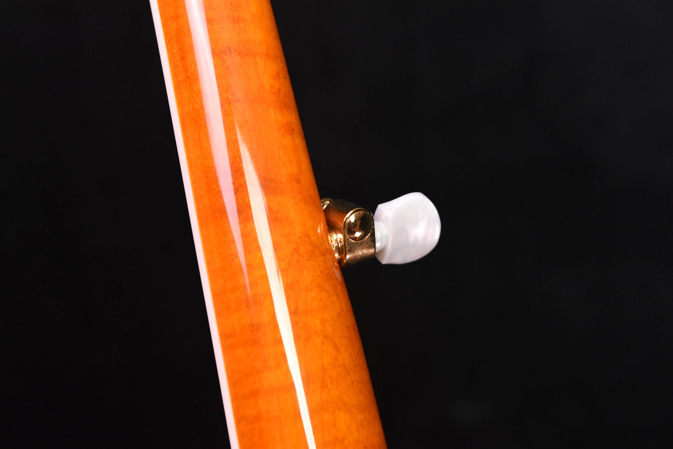 Epiphone Earl Scruggs Golden Deluxe Five String Bluegrass  Banjo