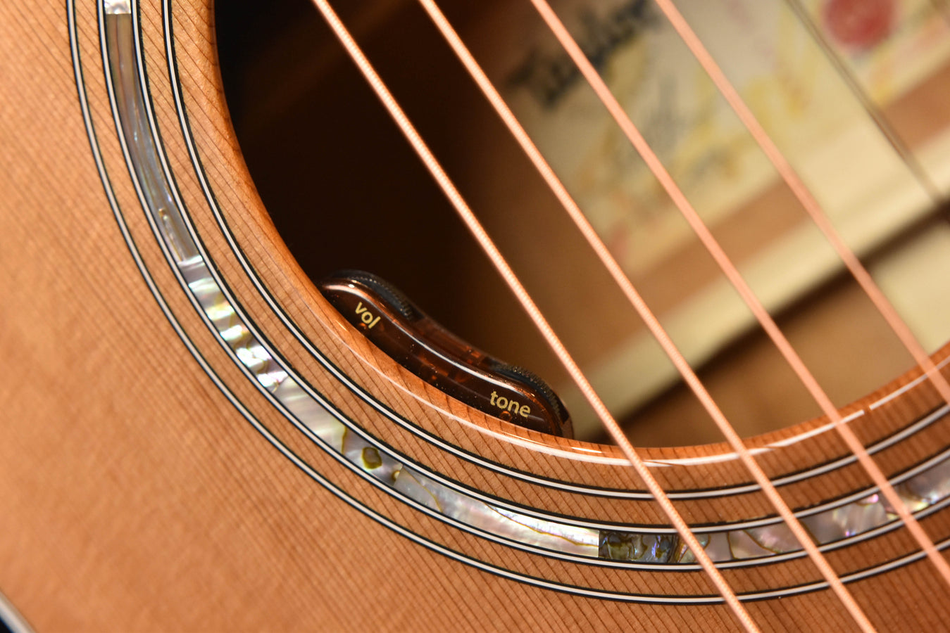Taylor Legacy 514CE Acoustic Guitar