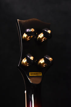 gold tone mastertone ob-2 jm joe mullins signature bowtie 5 string banjo